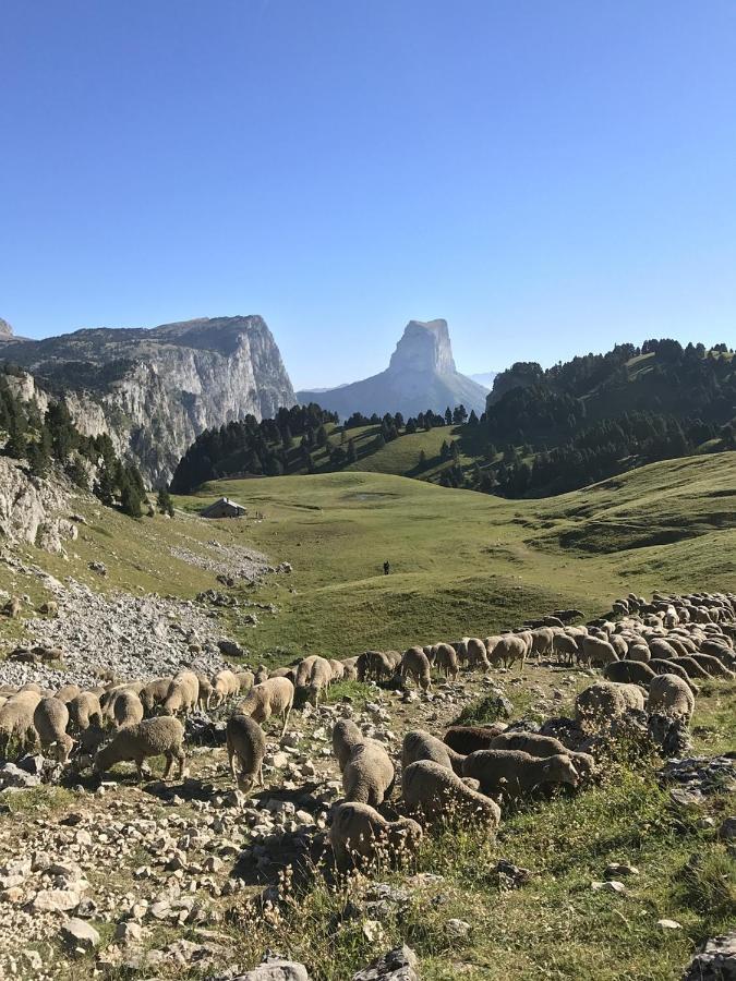 Vercors En Vert , Chambres D'Hotes De Charme Saint-Romans  Exteriör bild