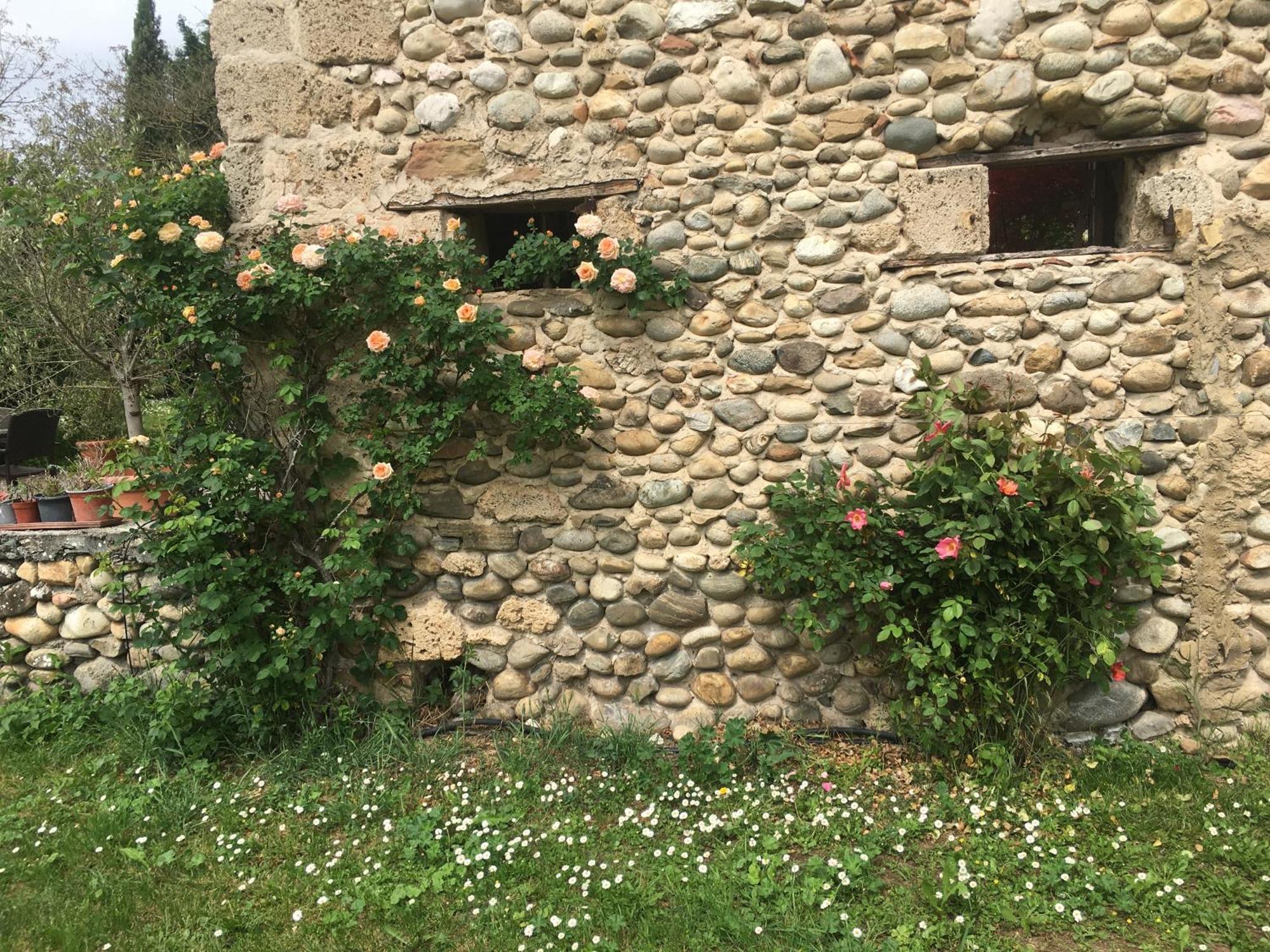 Vercors En Vert , Chambres D'Hotes De Charme Saint-Romans  Exteriör bild