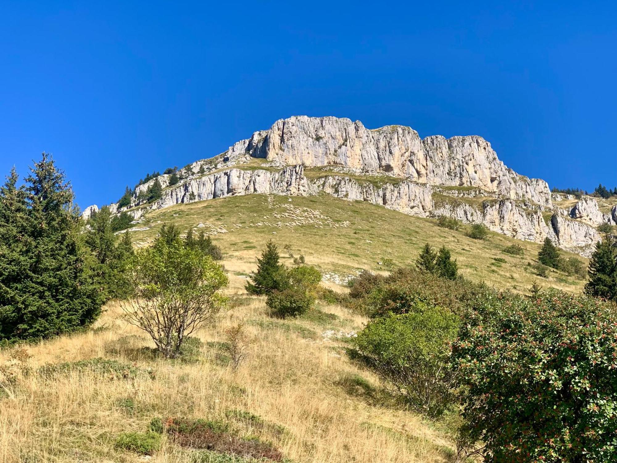Vercors En Vert , Chambres D'Hotes De Charme Saint-Romans  Exteriör bild