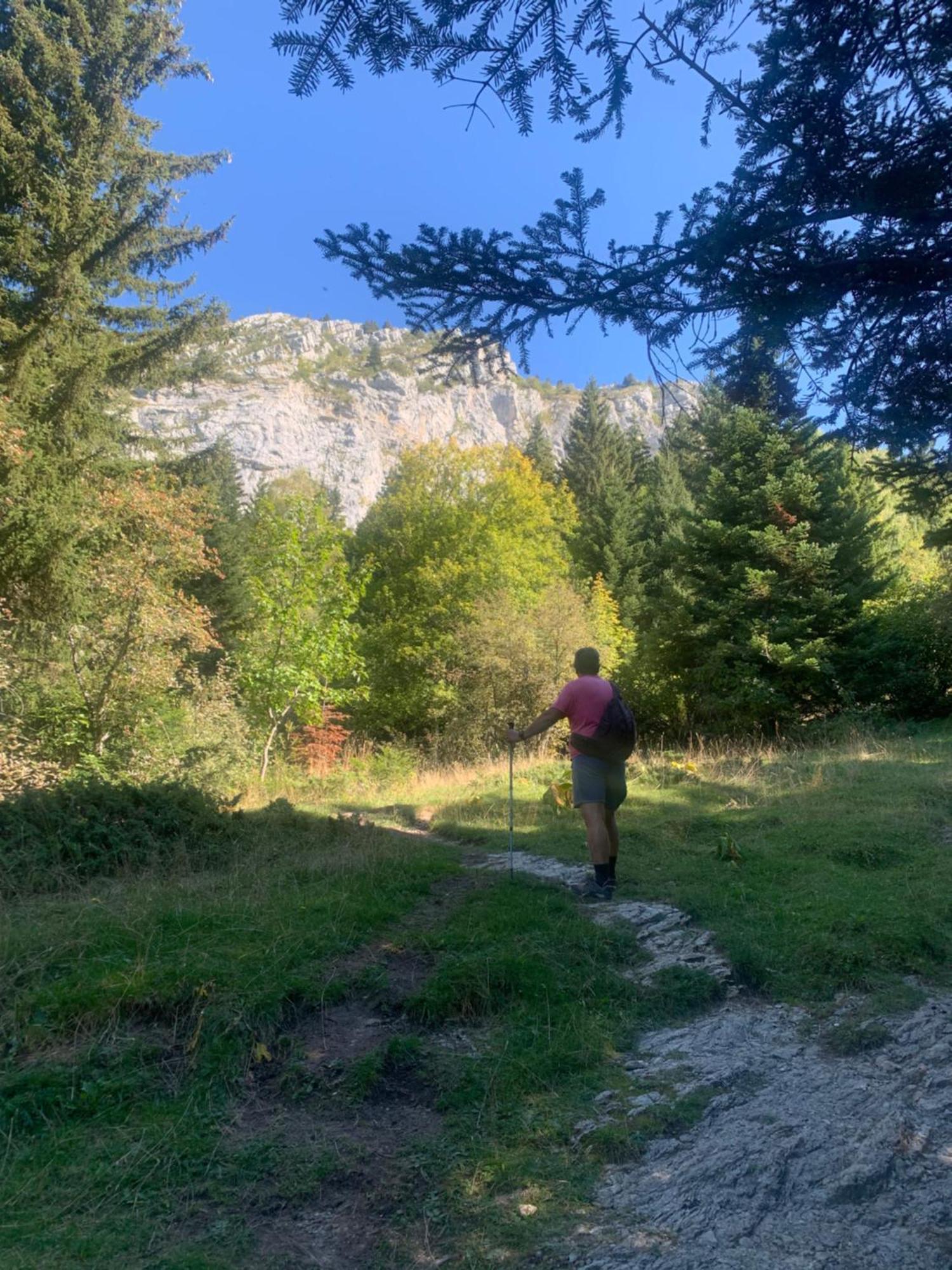 Vercors En Vert , Chambres D'Hotes De Charme Saint-Romans  Exteriör bild